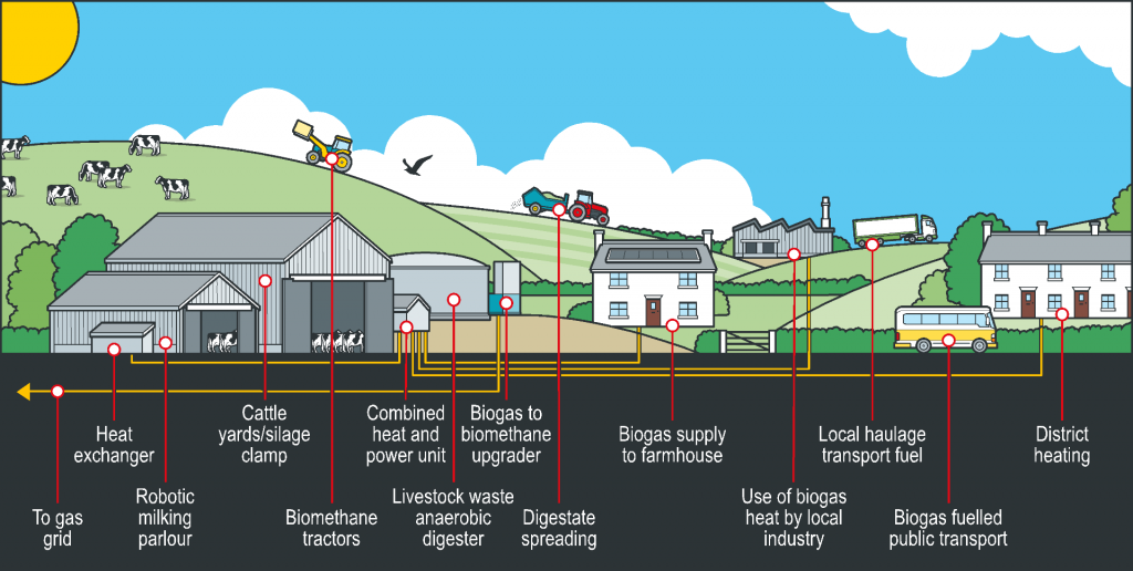 The biogas farm of the future